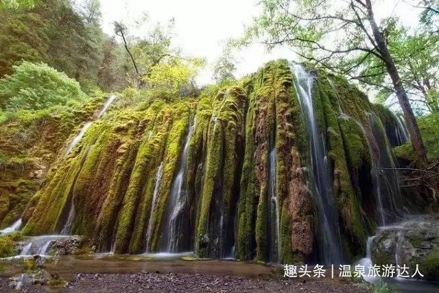 探索知识,尽在为什么晚上越困越想玩手机?蜗牛问答平台